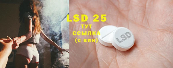 дживик Верхний Тагил