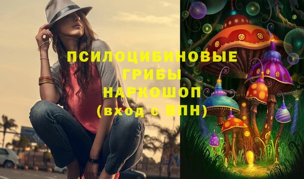 ПСИЛОЦИБИНОВЫЕ ГРИБЫ Володарск