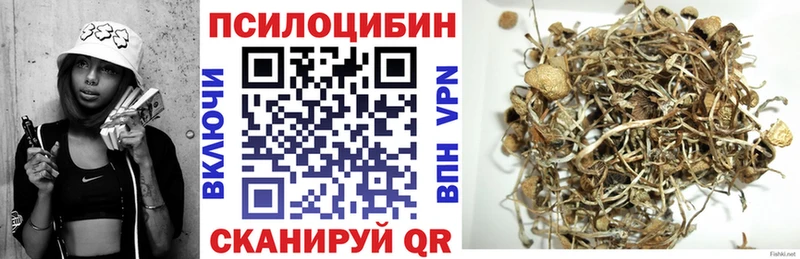 Псилоцибиновые грибы прущие грибы  Хабаровск 